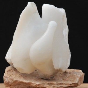 dominique_rivaux_abron