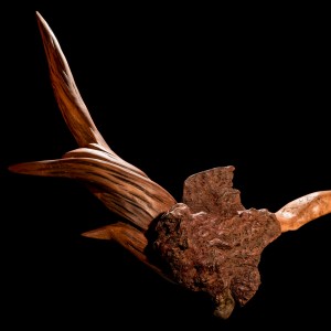 jean-francois-courbe