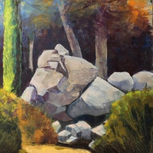 jean_claude_gourgeois