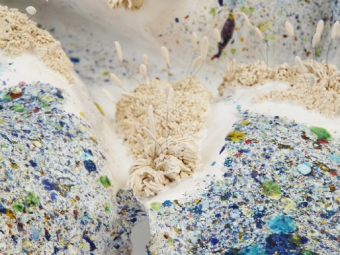 p1360816-les-noli-me-tangere-les-pistils-fluctus-bleus-étoilés-détail-b-2022-répertoriée-n°755-81-1024x768