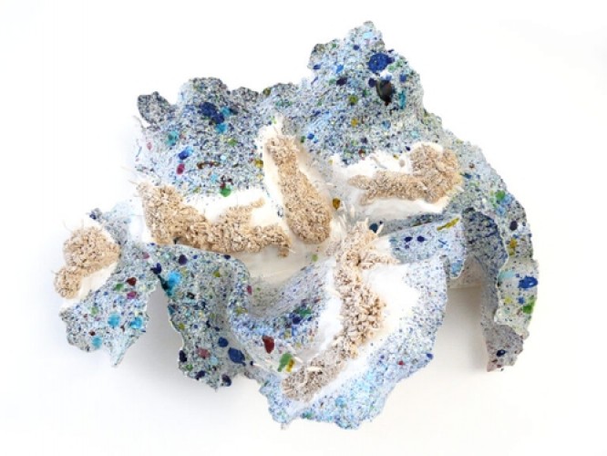 p1360828-les-noli-me-tangere-les-pistils-fluctus-bleus-étoilés-vue-dessus-a-2022-répertoriée-n°755-81-768x576