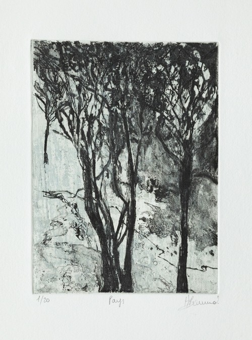 pays_2022_20x14,5cm_aquatinte